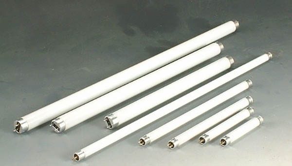 Đèn huỳnh quang được đánh giá không cao về độ bền