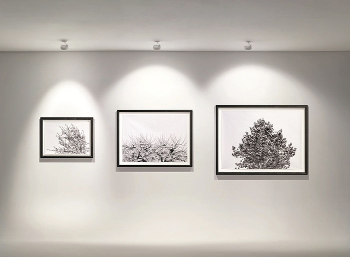 Các ứng dụng quan trọng của ánh sáng đơn sắc