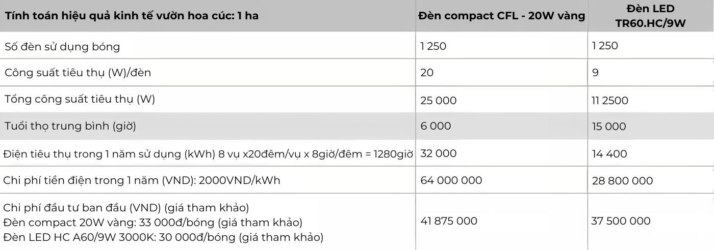 Tính toán hiệu quả kinh tế vườn hoa cúc