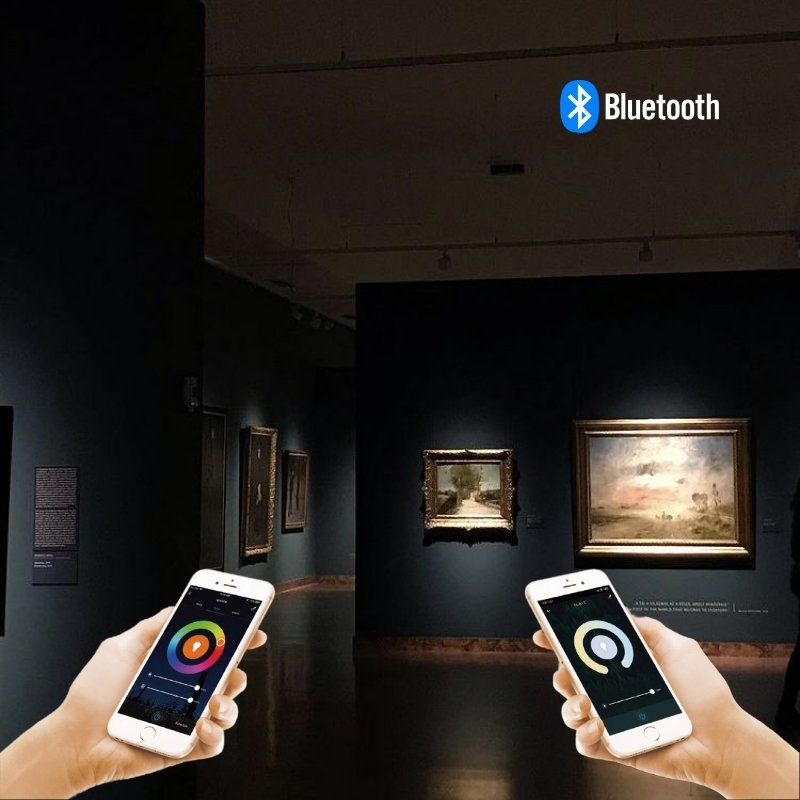 LEDEE trien lam smart remote