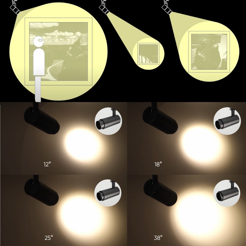 LEDEE trien lam zoomable