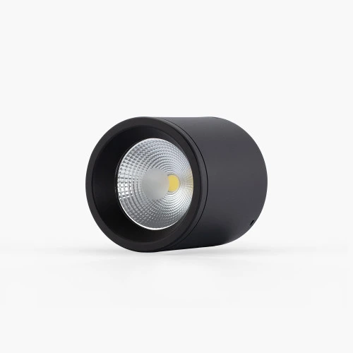 Đèn LED downlight nổi trần 110 10W NT01 mặt nghiêng 2