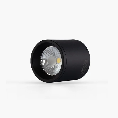 Đèn LED downlight nổi trần Rạng Đông NT01 110 10W mặt nghiêng