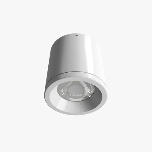 Đèn LED downlight nổi trần Rạng Đông NT01 110 10W màu trắng