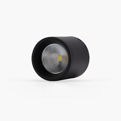 Đèn LED downlight nổi trần Rạng Đông NT01 110 12W mặt nghiêng 2