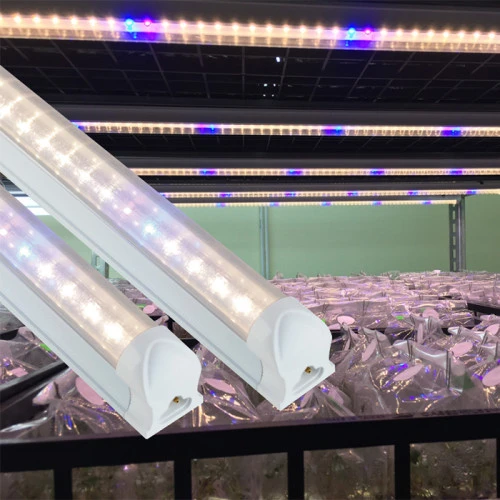 Đèn LED nuôi cấy mô Rạng Đông ncm 1200 16W wbu