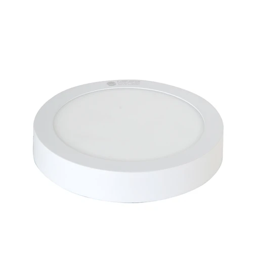 Đèn LED ốp trần tròn 300 24W LN09 mặt ngang 1