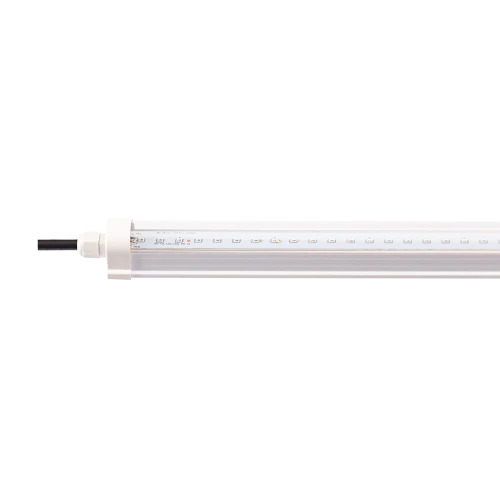 Đèn LED trồng cây Rạng Đông T8 lt 1200 30W wbu IP65